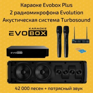 Караоке Evobox PLUS + 2 радиомикрофона Evolution + акустика TURBOSOUND